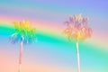 Tall Palm Trees On Sky Background Toned In Rainbow Vanilla Pastel Colors. Surrealistic Funky Style. Copy Space For Text. Tropical