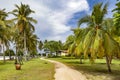 Tall palm trees and sun loungers on tropical Chenang beach on Langkawi island Royalty Free Stock Photo