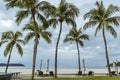 Tall palm trees and sun loungers on tropical Chenang beach on Langkawi island Royalty Free Stock Photo