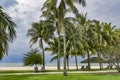 Tall palm trees and sun loungers on tropical Chenang beach on Langkawi island Royalty Free Stock Photo