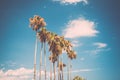 Tall palms on Promenade de la Croisette in Cannes, France