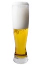 Tall Pilsner Glass of Beer