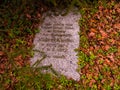 An old, forgotten cemetery covered with a high pine forest.