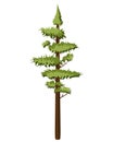 Tall Pine tree in realistick style. Evergreen forest coniferous spruce tree Royalty Free Stock Photo