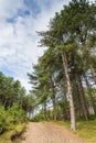 Path through Fomrby Forest