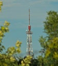 Tall Radio tower in between tree branches