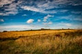 Summer grassland and derelict radar season