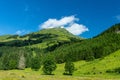 A tall rope adventure park with a treetop walk in the Saalbach-Hinterglemm valley Royalty Free Stock Photo