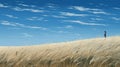 Expansive Midwest Grassland With Realistic Blue Sky - Digital Painting