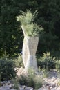 A tall round pot for plants in the garden, with grass growing inside the herb