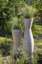 A tall round pot for plants in the garden, with grass growing inside the herb