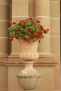 tall sandstone carved ornate heritage flower pots in the front of an ornate palace pillar detail with red geranium flowers