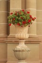 tall sandstone carved ornate heritage flower pots in the front of an ornate palace pillar detail with red geranium flowers