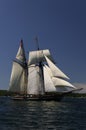 Tall Ship Royalty Free Stock Photo