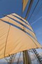 Tall ship rig from below Royalty Free Stock Photo