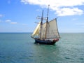 Tall Ship Sailing In New Zealand