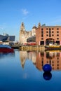 Tall shot across the Albert Dock, of the Liver Building in Liverpool