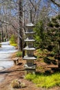 A tall slender stone Japanese lantern in the garden surrounded by brown fallen pine needles and lush green trees and plants Royalty Free Stock Photo