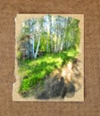 Tall slender white birch forest. Russian spring landscape water