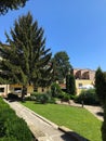 a tall spruce tree on the lawn near the house against the blue sky on a sunny day. Bulgaria. Balchik Royalty Free Stock Photo