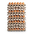 Tall stack of cardboard egg cartons filled with fresh eggs Royalty Free Stock Photo