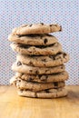 Tall stack of chocolate chip cookies Royalty Free Stock Photo