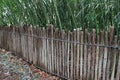 Tall stalks of bamboo behind wood posts tied with rope
