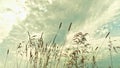 Tall steppe grasses are shaken by the wind