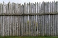 Tall stockade fence with green moss