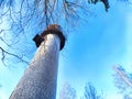 Tall stone lighthouse with surrounding trees under a sunny sky. Majestic water tower Against a Clear Blue Sky in Royalty Free Stock Photo