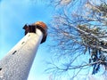 Tall stone lighthouse with surrounding trees under a sunny sky. Majestic water tower Against a Clear Blue Sky in Royalty Free Stock Photo