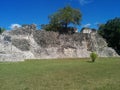 Tall structure with tree growing on top in Kohunlich Mayan ruins