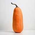 Tall Thin Pumpkin Royalty Free Stock Photo