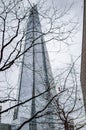 The tall tower of the shards in london behind tree