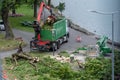 Municipal tree removal in french village Villeneuve in Switzerland