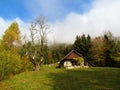 Tall tree and a small house on a meadow Royalty Free Stock Photo