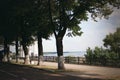 Tall trees along the footpath of sea promenade Royalty Free Stock Photo