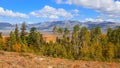 Tall trees along the ridge in scenic Eastern Sierra mountains