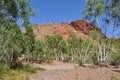 Tall trees in dry riverbed with rock outcrop australian outback
