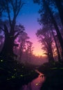 Tall trees frame a tranquil forest scene at twilight, with a small Royalty Free Stock Photo