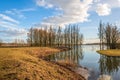 Tall trees reflected Royalty Free Stock Photo