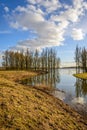 Tall trees reflected Royalty Free Stock Photo