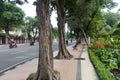 tall trees on the sidewalk of the left side of the highway and the right side of the park
