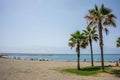 Tall twin palm trees along the Malaguera beach with ocean in the Royalty Free Stock Photo