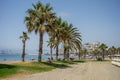 Tall twin palm trees along the Malaguera beach with ocean in the Royalty Free Stock Photo