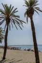 Tall twin palm trees along the Malaguera beach with ocean in the Royalty Free Stock Photo