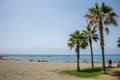 Tall twin palm trees along the Malaguera beach with ocean in the Royalty Free Stock Photo