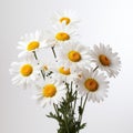 Explosive Pigmentation: White Daisy Vase On White Background