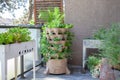 A tall vertical garden sits on an apartment balcony