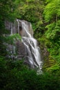 Tall Waterfall surrounded by green forest in summer